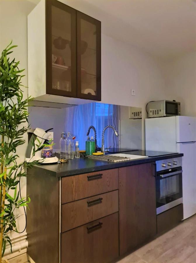 Grand Studio Lyon Villeurbanne Proche Metro - Wifi Exterior photo